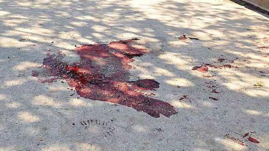 Jujeño agujereó a cuchillazos el cuello de un vecino: lo buscan por todos lados