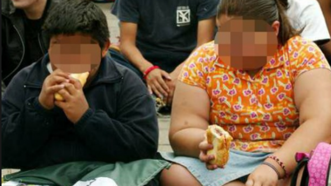 La obesidad infantil en Jujuy es m�s alta que en casi todo el pa�s
