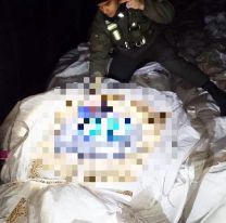 Dijeron que llevaban porotos, pero les dieron la cana con algo más: "Tenían..."