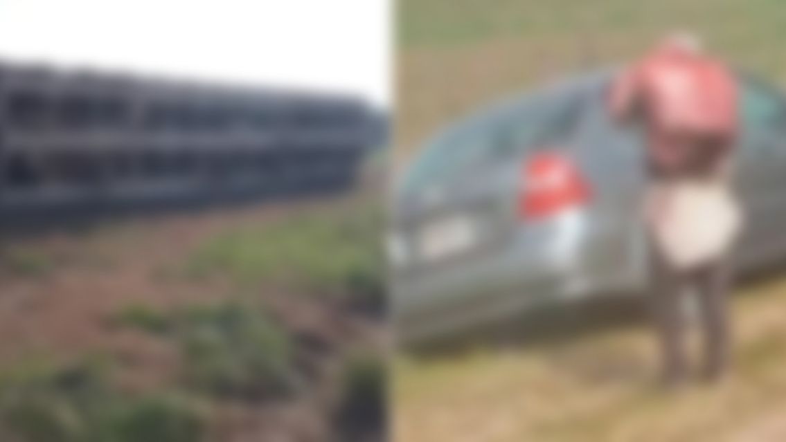 Juje�os faenaron a una vaca pre�ada: As� encontraron al ternerito