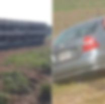 Jujeños faenaron a una vaca preñada: Así encontraron al ternerito