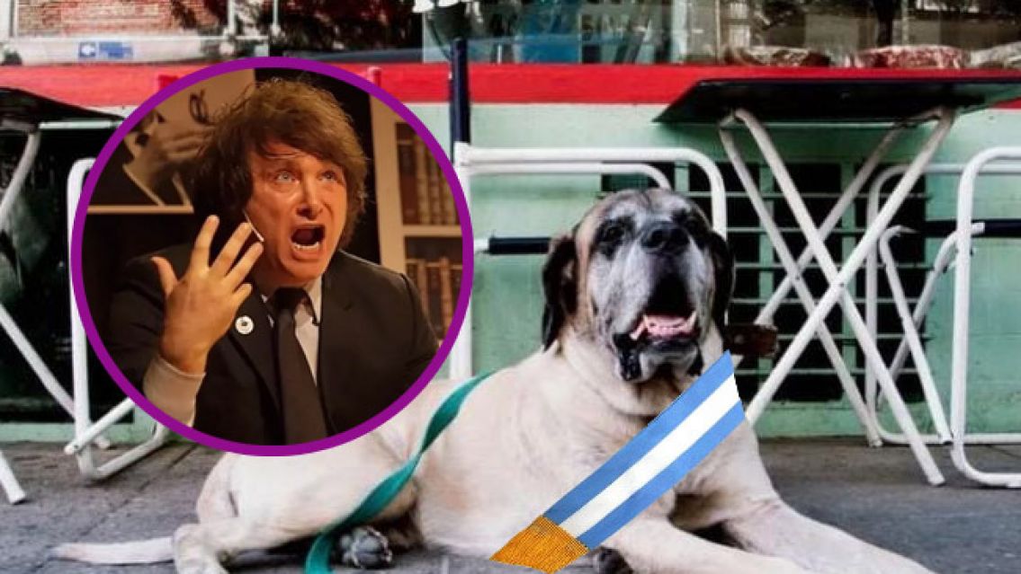 The Economist destroz� a Milei y lo calific� como "un peligro" para Argentina