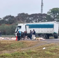 Terrible choque entre dos camiones en ruta norte&ntilde;a, llevaban carne y...