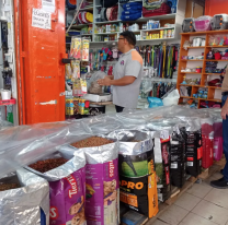 Ni las mascotas se salvan de la inflaci&oacute;n: el alimento aument&oacute; un 35%