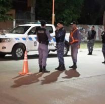 Volvía a su casa y cuando abrió la puerta la mataron sus tres perros