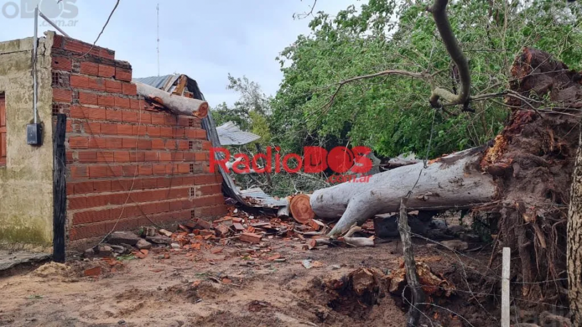 Estaba estudiando y murió aplastada por su propia casa que se vino abajo. Le cayó un árbol