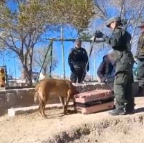 Quiso pasar de Bolivia a Jujuy con 4 kilos de merca y lo pill&oacute; Gendarmer&iacute;a