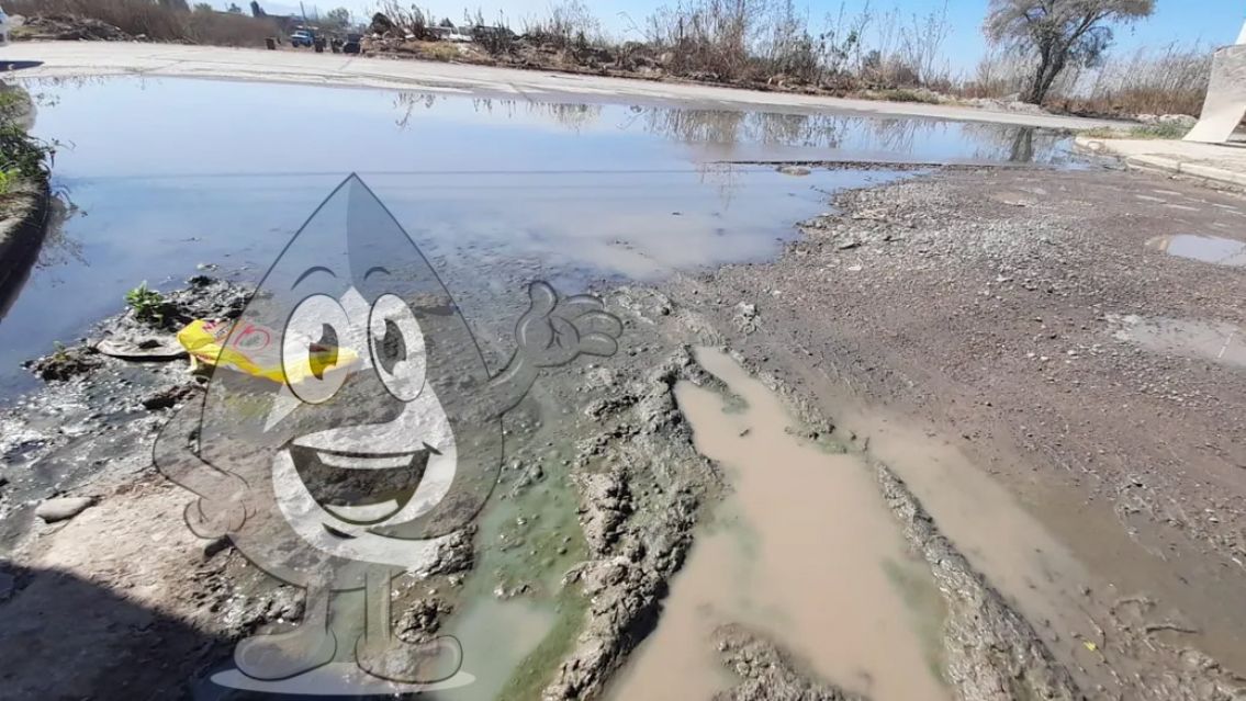 Lagunas de cloaca por todos lados: desidia de Agua Potable en Palpalá