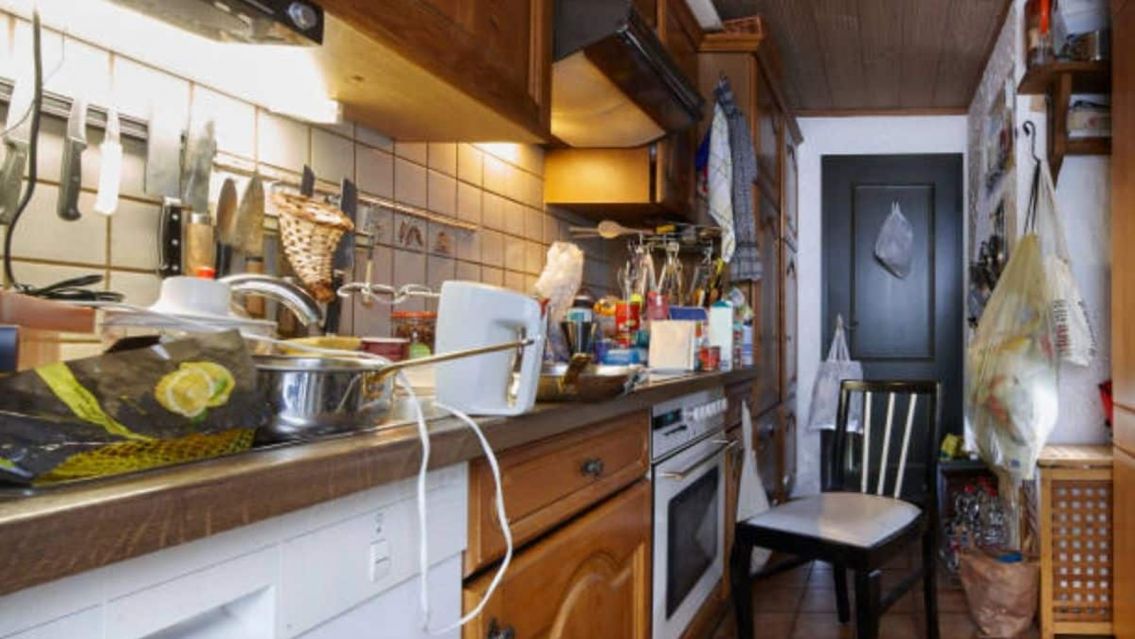 Viven dentro de tus electrodomésticos y no lo sabías: los bichos que pudren todo