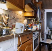 Viven dentro de tus electrodomésticos y no lo sabías: los bichos que pudren todo