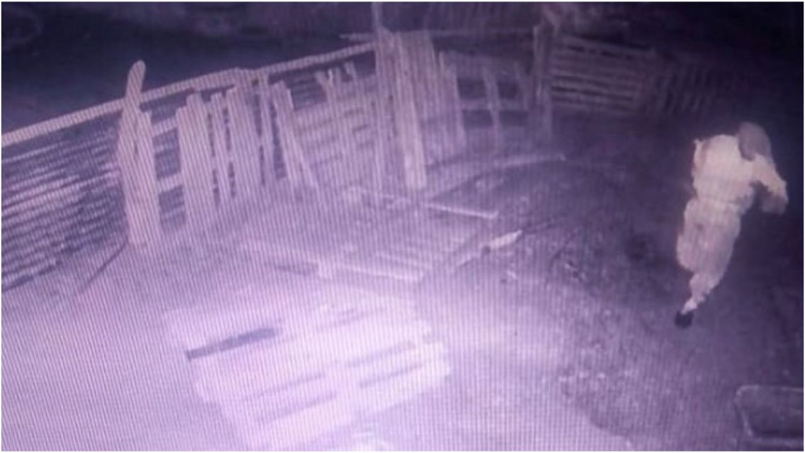 Escucharon extraños ruido y encontraron algo terrible al costado de ruta norteña