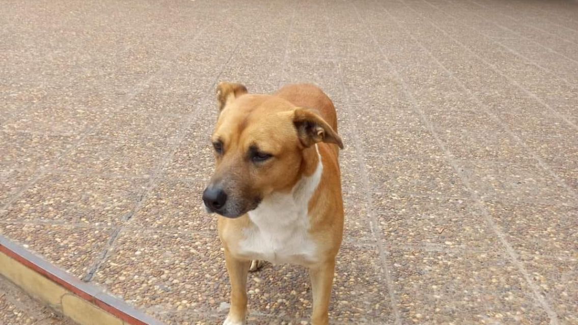 Foto: QTR Antes Que Nadie