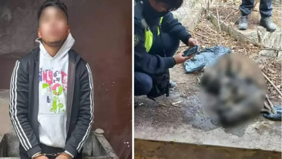 Asesin� a 5 perros en Palpal� y lo confes�: solicitan que le proh�ban el acercamiento a mascotas