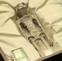 Le hicieron la autopsia aun extraterrestre y quedaron todos perplejos: "¿Eso qué puede ser?"