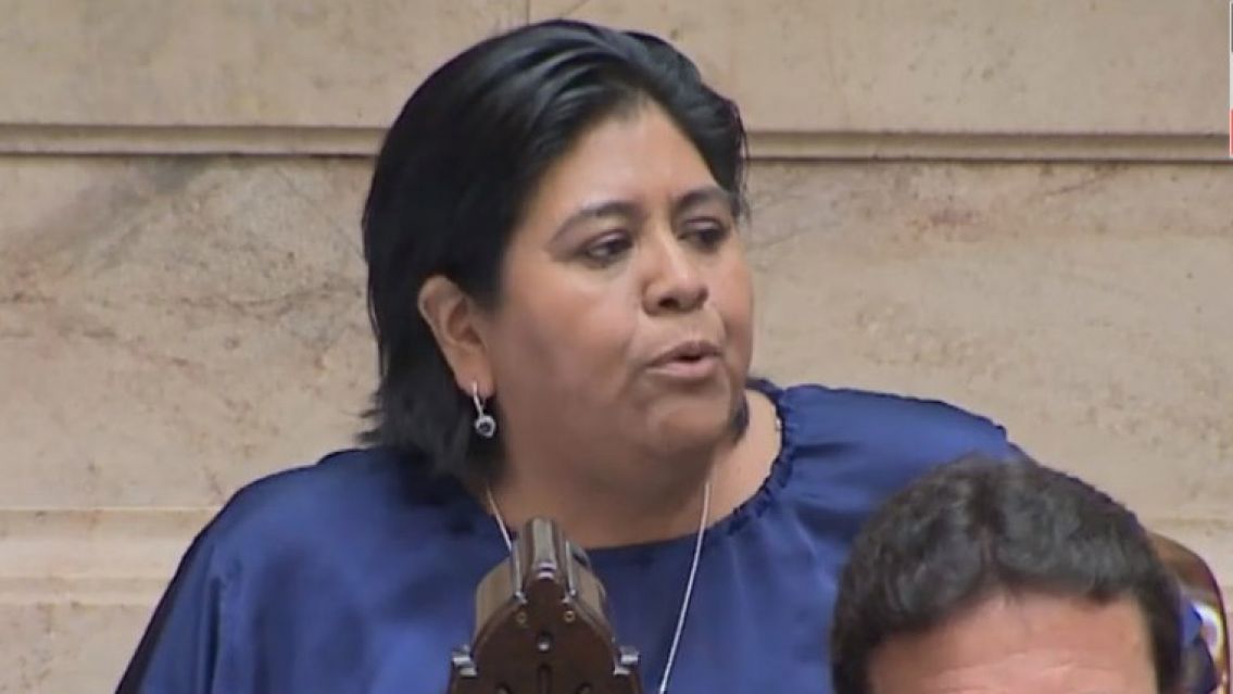 La diputada Sarapura habl� tras quedarse del lado de Javier Milei