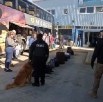 Cayó en el sur el delincuente jujeño buscado por aberrantes delitos