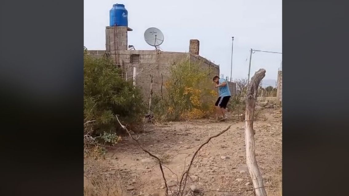 Juje�o fue a buscar flores amarillas para su novia y lo agarraron las abejas: Qued� filmado