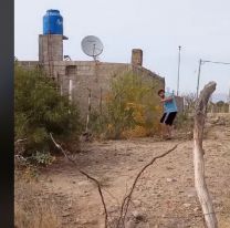 Jujeño fue a buscar flores amarillas para su novia y lo agarraron las abejas: Quedó filmado