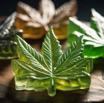 Así son las gomitas de marihuana que llevaron al hospital dos jóvenes