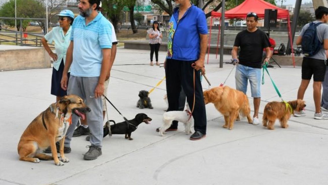 Ellos tambi�n tienen su fiesta en Jujuy: el D�a de la Primavera Canina