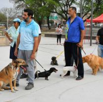 Ellos tambi&eacute;n tienen su fiesta en Jujuy: el D&iacute;a de la Primavera Canina