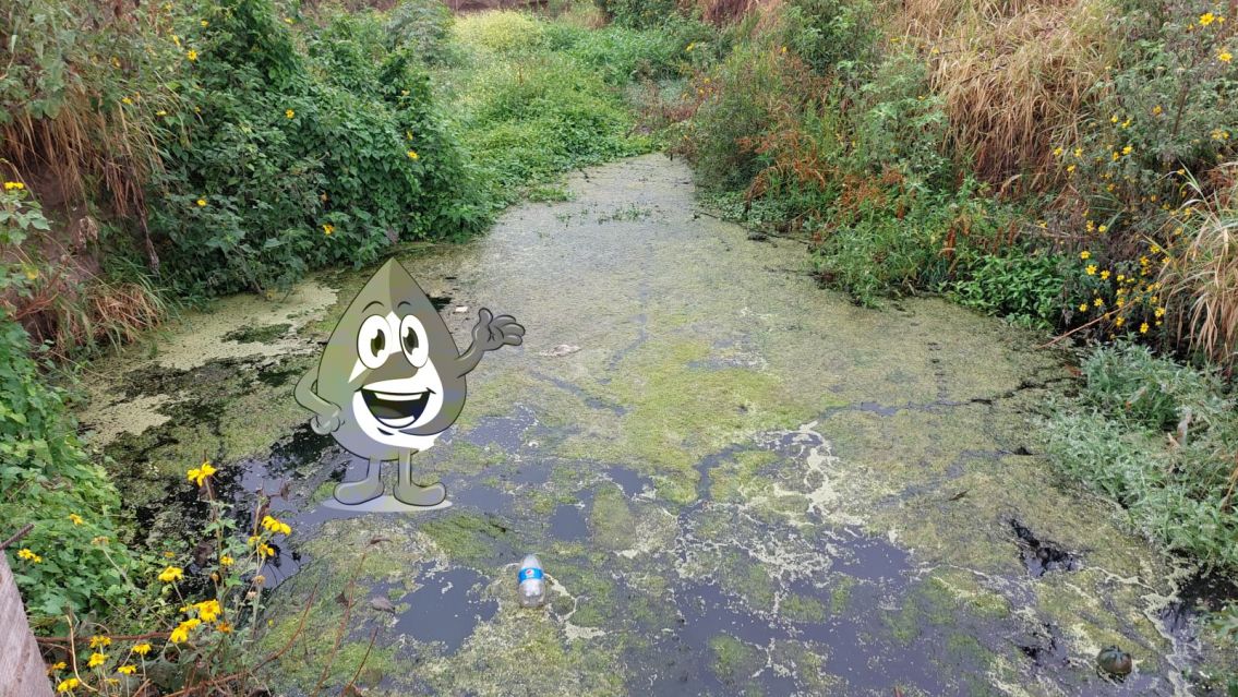 Un r�o de cloaca contamina Palpal� y Agua Potable no hace nada