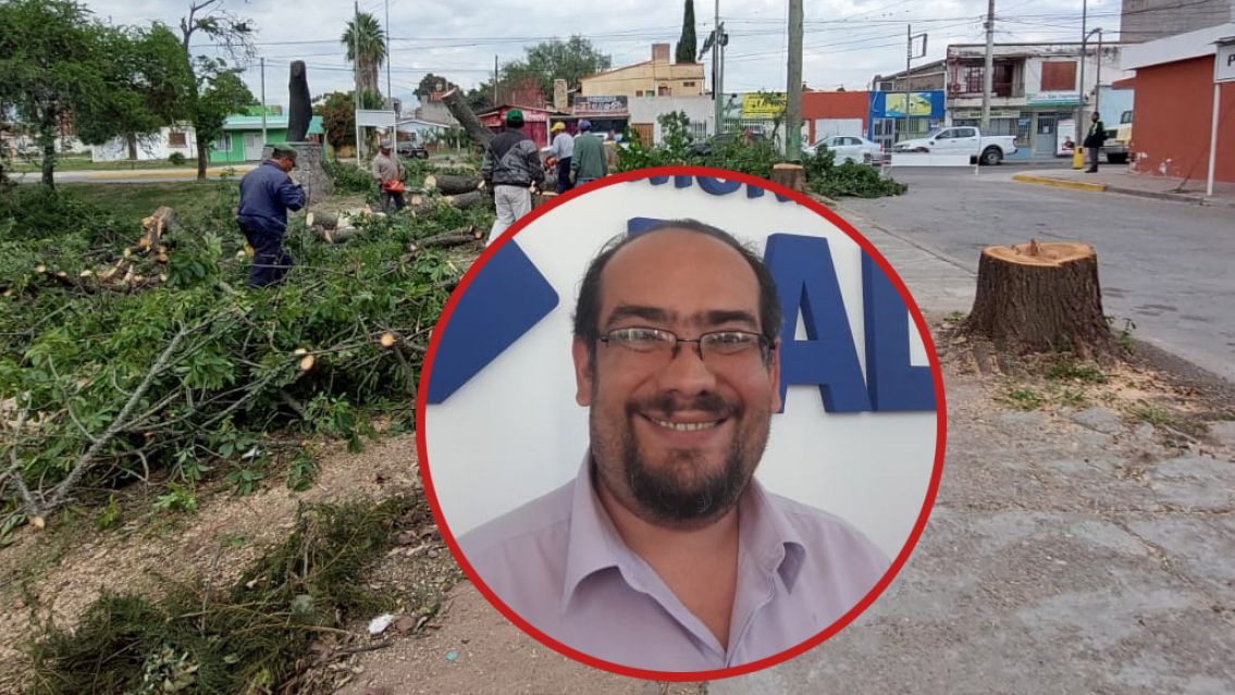 La Justicia le puso freno a Rivarola por asesinar arboles de m�s de 50 a�os