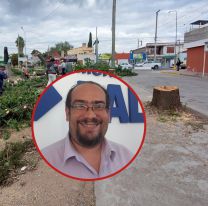 La Justicia le puso freno a Rivarola por asesinar arboles de más de 50 años