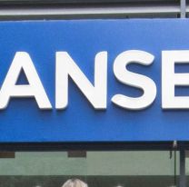 Muri&oacute; una mujer en una sede de la ANSES mientras esperaba su turno