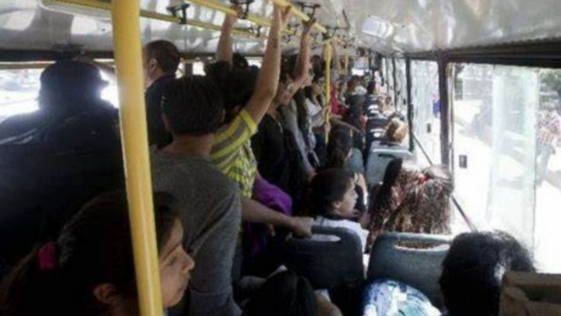 Escándalo en un colectivo: pasajera mostró cómo te roban mientras viajas
