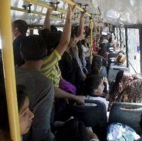 Esc&aacute;ndalo en un colectivo: pasajera mostr&oacute; c&oacute;mo te roban mientras viajas