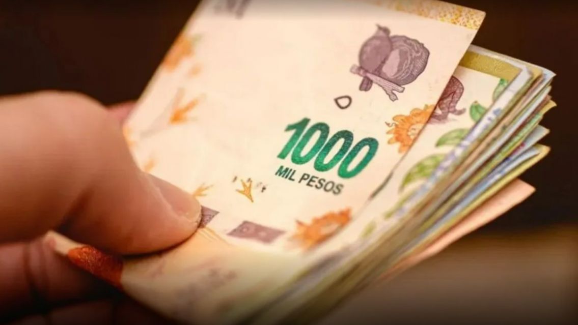 Nuevo IFE: todo lo que ten�s que saber sobre el bono de ANSES