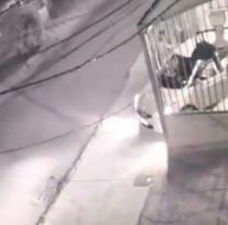 Campo Verde: entraron a robar a una casa y se llevaron hasta el perro