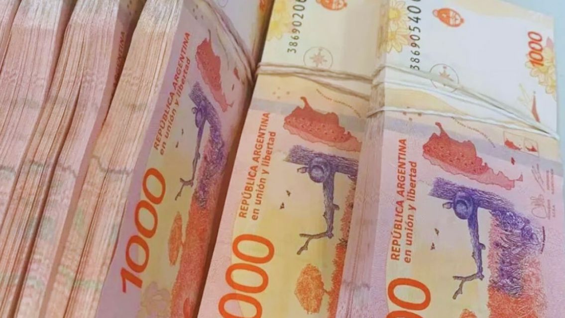 CONFIRMADO: el bono de $47.000 de ANSES se pagar� desde este d�a