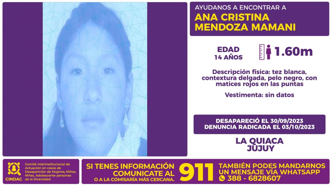 Jujeñita desapareció el sábado en La Quiaca y la buscan en toda la provincia