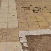 Violento ataque a una polic&iacute;a juje&ntilde;a embarazada: Le patearon la cara en el piso