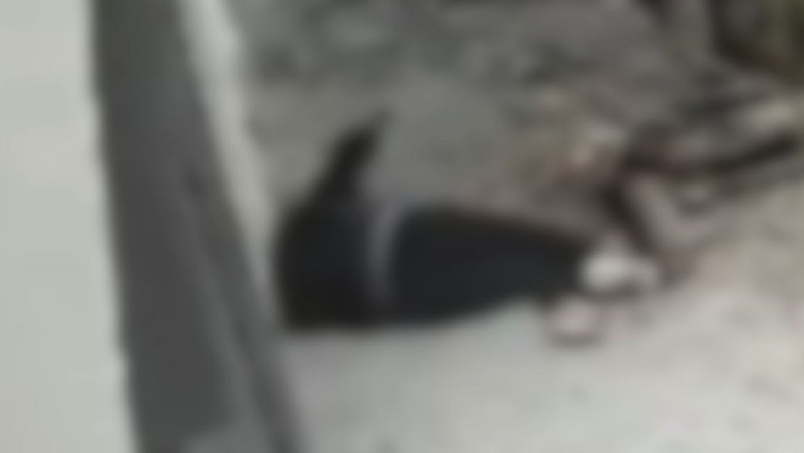 Se conocieron en el gym, fueron a tomar algo y se desvaneció: apareció tirada en la calle