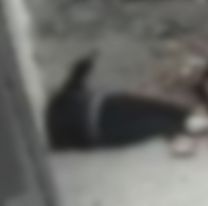 Se conocieron en el gym, fueron a tomar algo y se desvaneci&oacute;: apareci&oacute; tirada en la calle