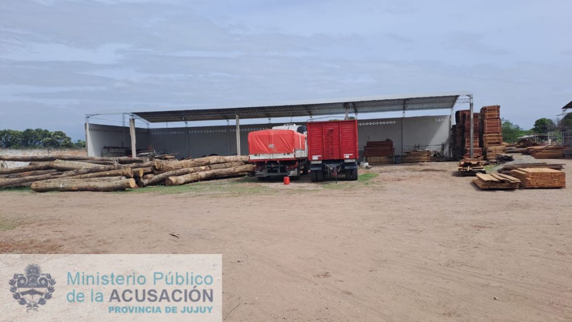 Impresionante operativo en Jujuy: Cay� la banda que deforestaba las yungas