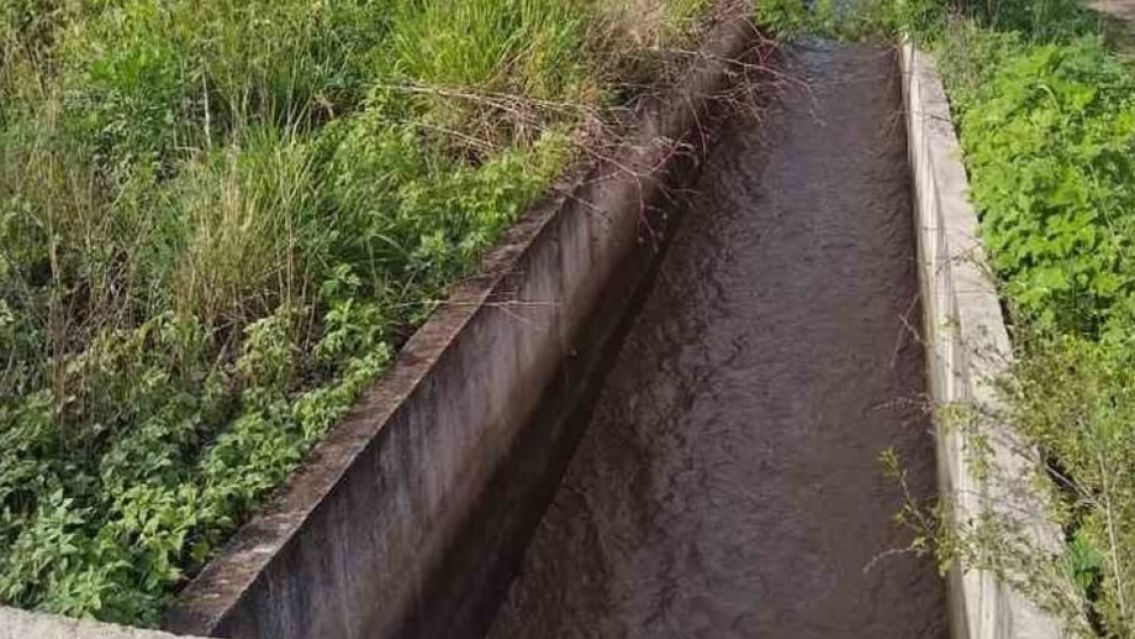 Intentaron salvar a un perrito pero murieron ahogados en un canal