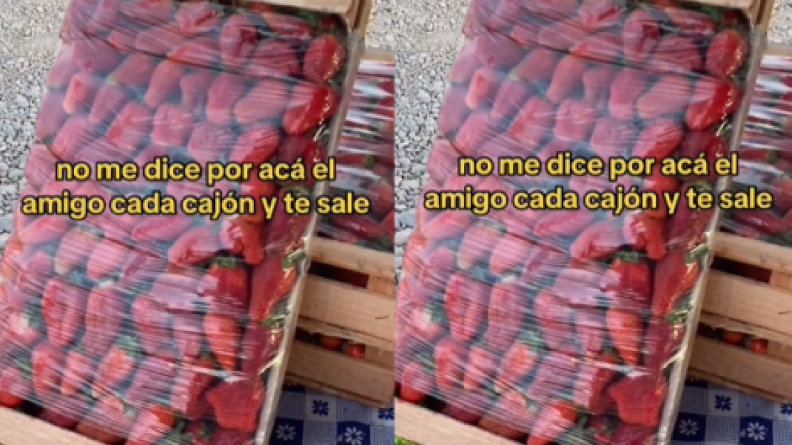 Bajaron la frutilla en Jujuy y el cajón de 4 kg. "está regalado"