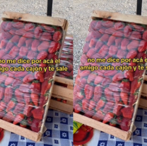 Bajaron la frutilla en Jujuy y el cajón de 4 kg. "está regalado"