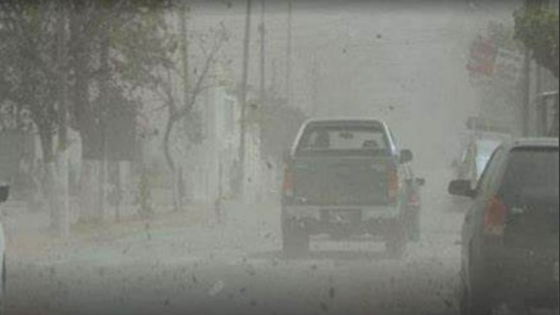 Alerta amarilla en Jujuy por fuertes ráfagas de viento para este sábado