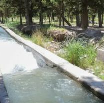 Una pareja murió ahogada frente a su hijo al intentar salvar a un perro