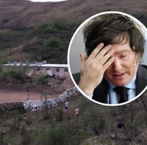 Reconocida periodista juje&ntilde;a destroz&oacute; a Milei: "Sos un ignorante superlativo"