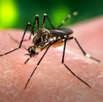 &iquest;No era gratis? Llega la vacuna contra el DENGUE y vale 100 d&oacute;lares. Los detalles: