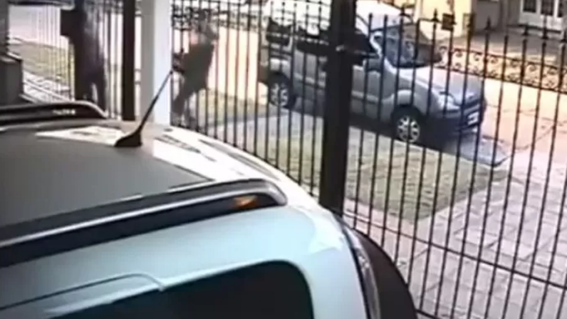 Juje�a tir� su cartera para que no se la roben pero recibi� un feroz castigo 