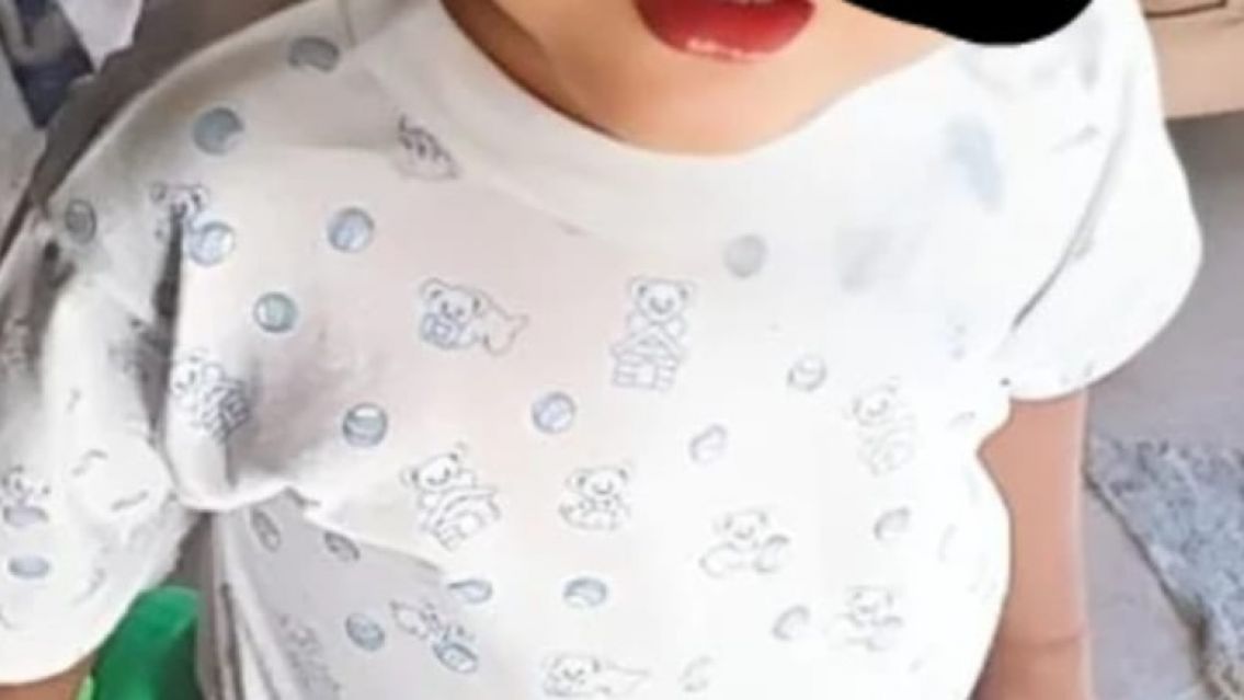 Horror en Jujuy: Caballo pateó a un bebé de dos años y lo mató