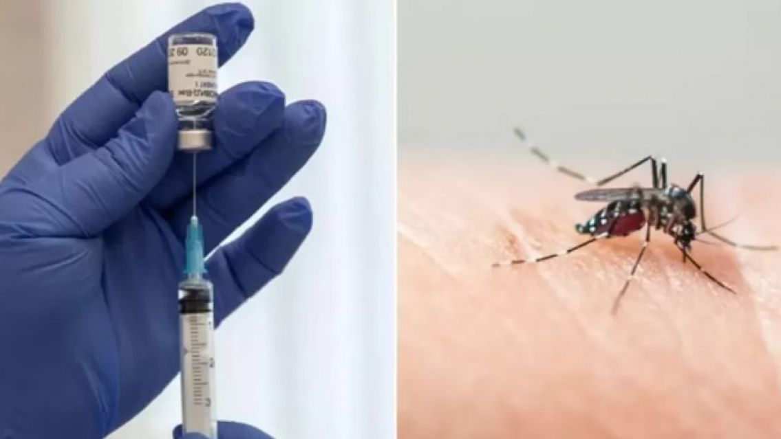 Alerta con el dengue: la vacuna cuesta más de lo que se pensaba