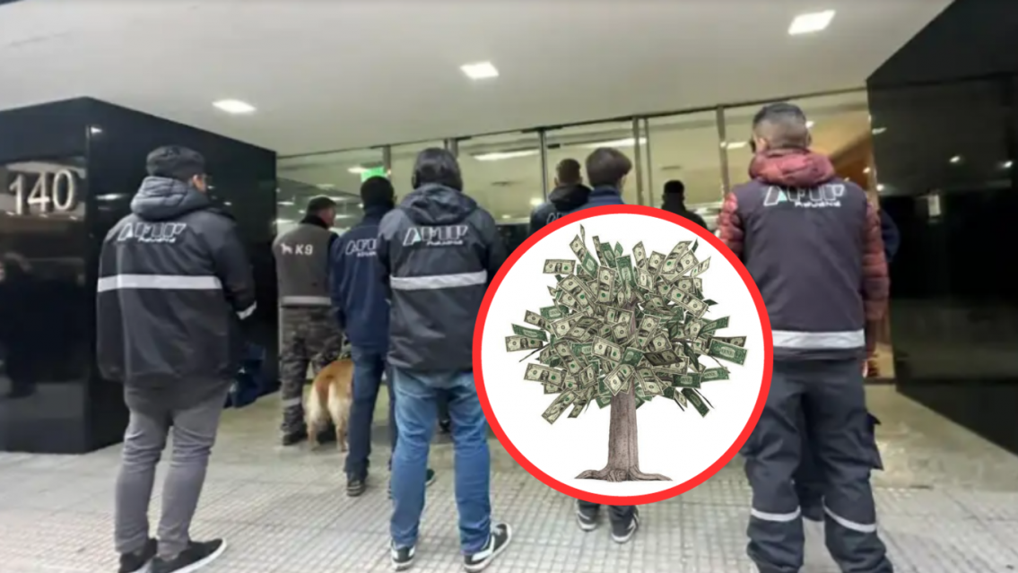 Atraparon al 'Rey de las cuevas': el millonario negocio de los arbolitos